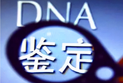 西安DNA亲子鉴定在哪里可以做鉴定，西安亲子鉴定办理流程指南