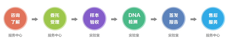 西安隐私亲子鉴定流程